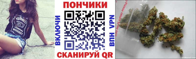 Бошки Шишки VHQ  Славгород 